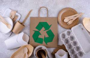 Sustainable Procurement and Responsible Consumption