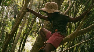 Schools in Maldives integrates Fehi Madharusa Framework to foster sustainability education